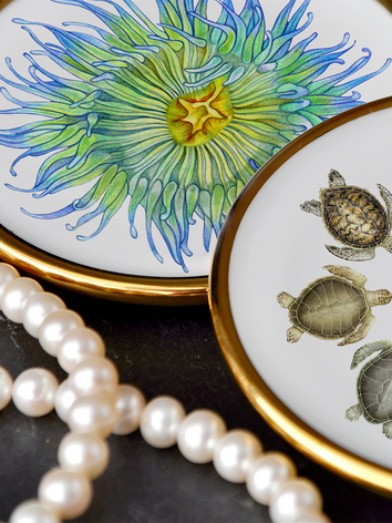 Trinket Trays