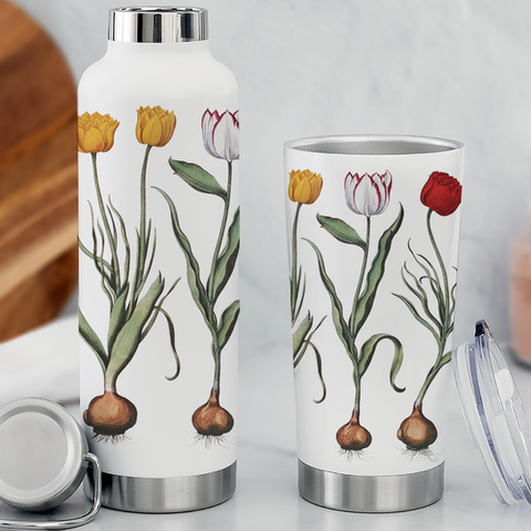 Beyond Basic Bottles & Tumblers