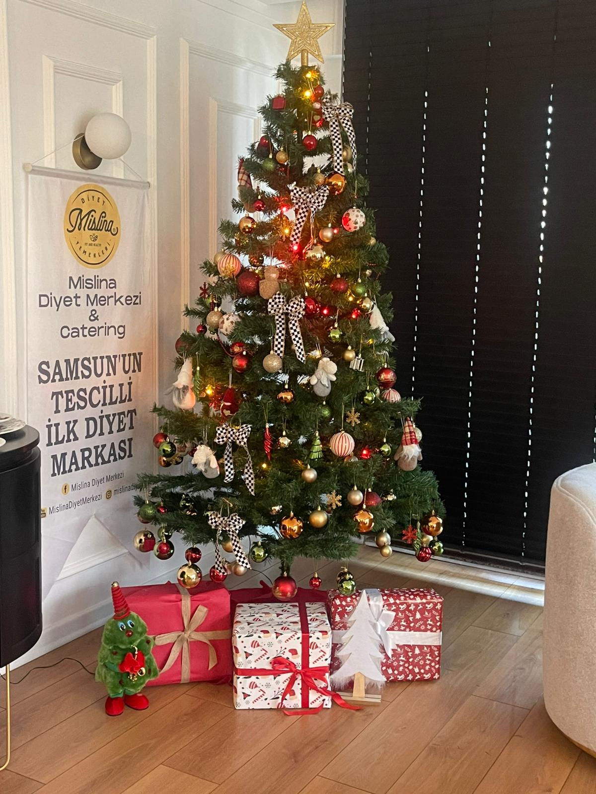 Yılbaşı Ağacı 