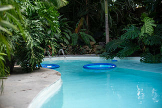 A curved turquoise swimming pool with blue inflatable ring floats and small water jets shooting into the water, surrounded by lush green tropical plants, split-leaf monsteras, and palm trees.