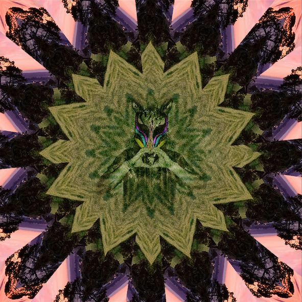 Slow Magic