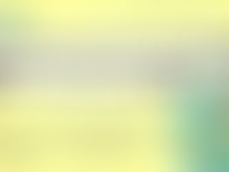 第205回 BPIA研究会『目からウロコ〜!』 (2026/5/26)