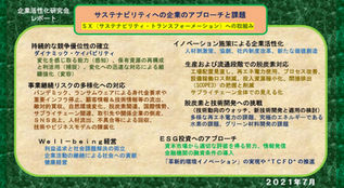 【2021年度レポート】 サステナビリティへの企業のアプローチと課題