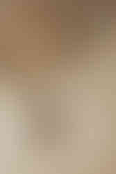 flat lay of details for bride