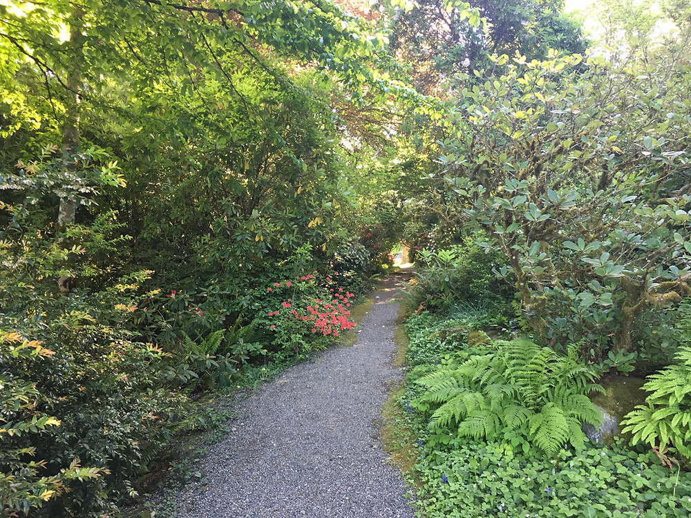 Lakewold Gardens pathway