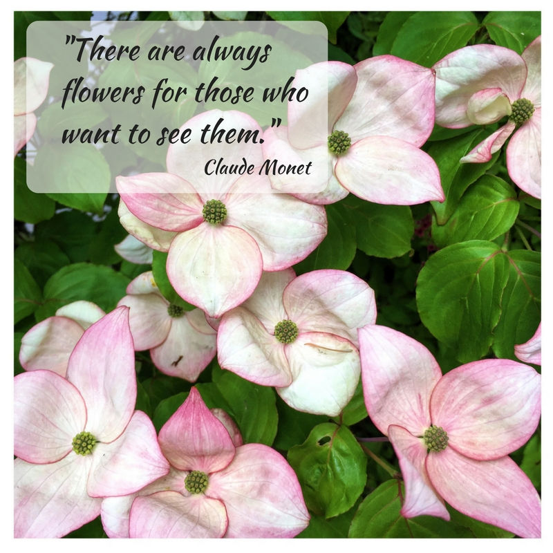 My favorite flower quotes