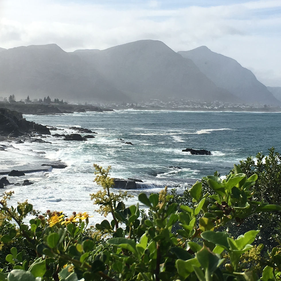 Hermanus is scenic and you may see whales here too.