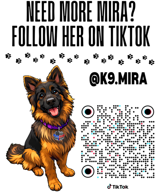 Copy of FOLLOW MIRA (1).png