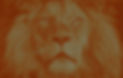 Background Lion_edited.jpg