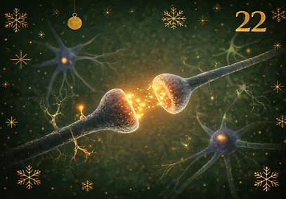 ChatGPT Image Dec 24, 2025, 03_03_47 PM.png