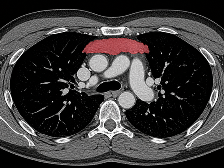 The Thymus and Long-Term Health