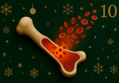 ChatGPT Image Dec 10, 2025, 08_25_43 AM.png