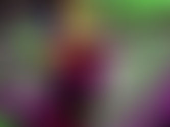 I think every body should like every body