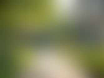 Client Success Stories: Rehab Coaching Testimonials