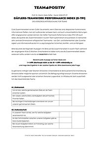 Prof. Däflers Team-Performance-Indicator Fragebogen