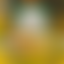 What Is Going On in Lee County Virginia Schools?