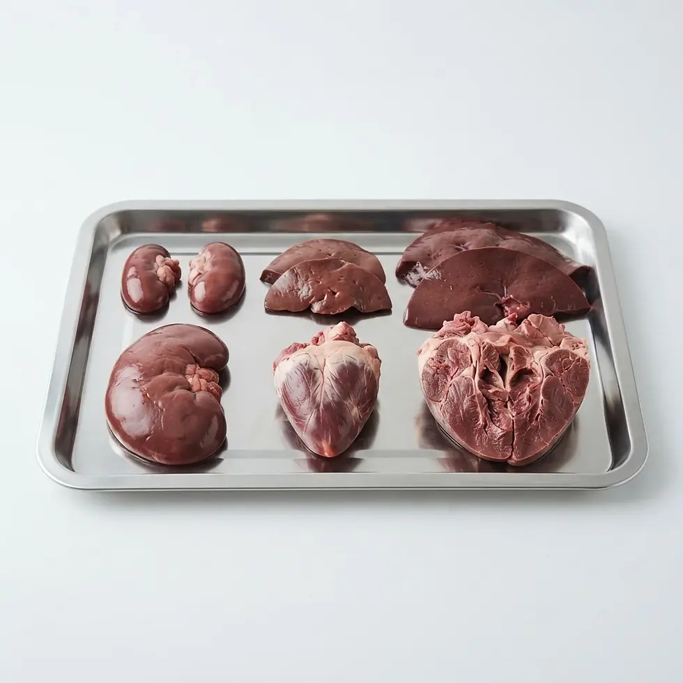Studio photography of raw animal organs, including kidneys, liver, and hearts, neatly arranged on a stainless steel tray.