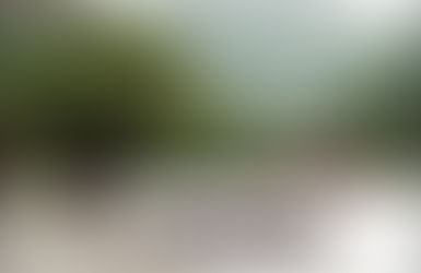 La grenouille, le serpent et le poisson