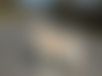 Non-fumeur, pas d’animaux