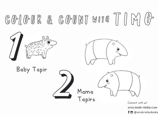 Timo Activity Sheet