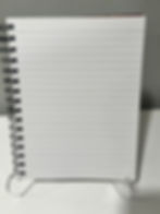 Thumbnail: SOLD OUT/FAFO Workplace Trauma Recovery Journal    (8.3 X 11in) 160 blank pages