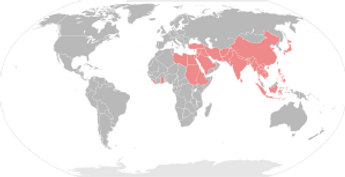 mapa 2.png