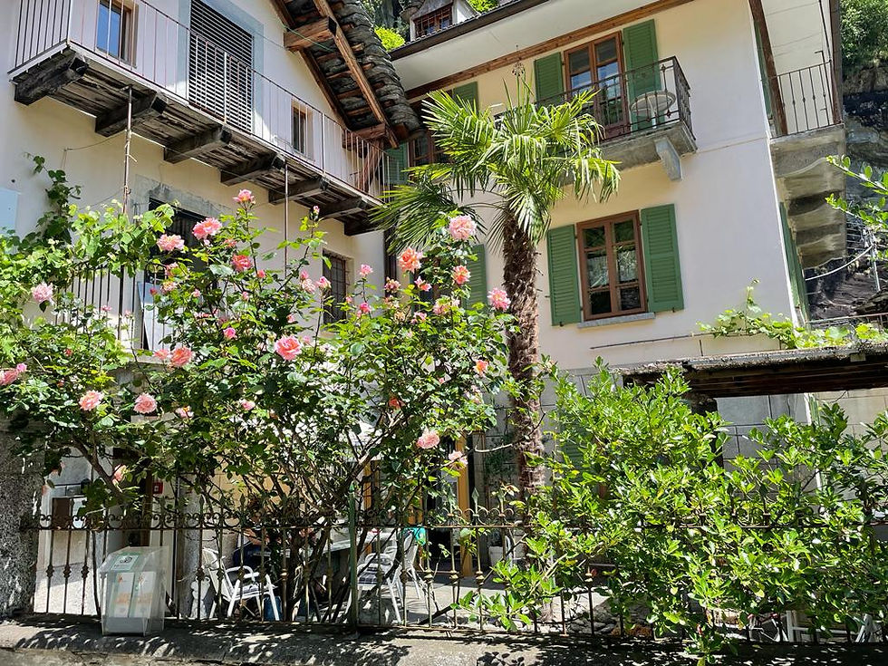 Saison 2025 / Genossenschaft