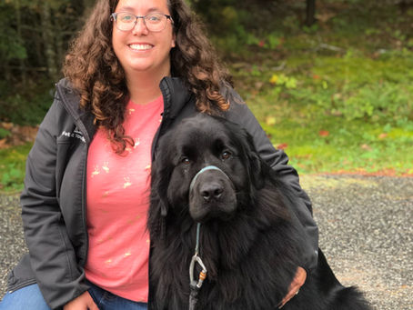 Trust Your Instincts, and Do the Research: Meet Dr. Heather Crispell