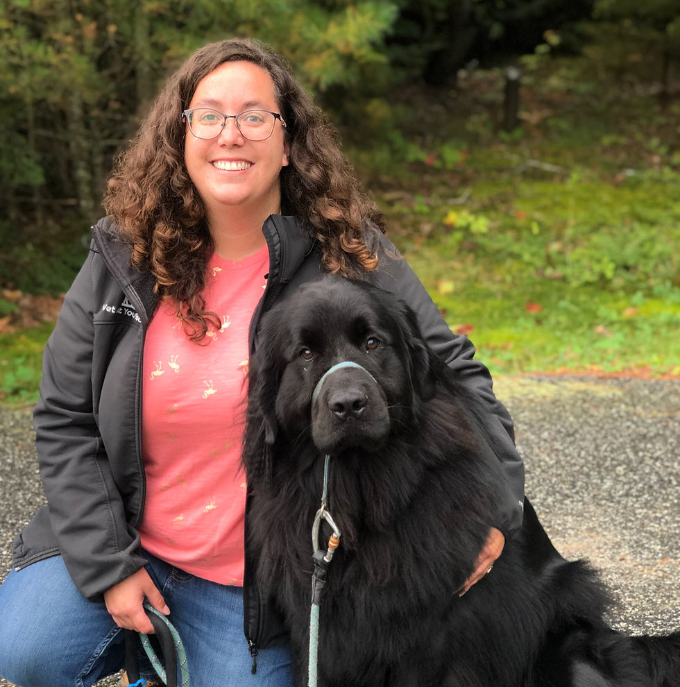 Trust Your Instincts, and Do the Research: Meet Dr. Heather Crispell