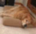 Digby Bed_edited.jpg