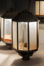 שכבות קדושות (3).jpg