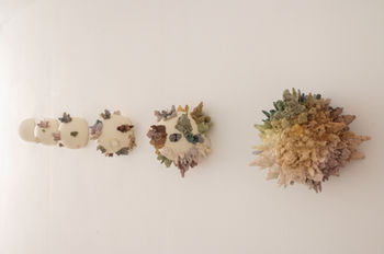 שכבות קדושות (27).jpg