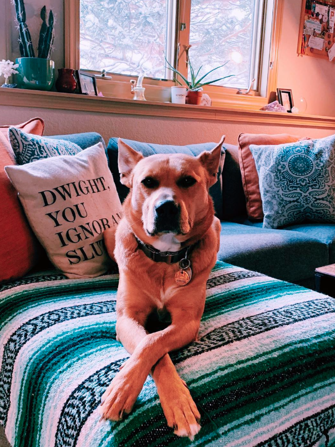 Screenshot 2026-02-23 at 11.59.43 AM.png