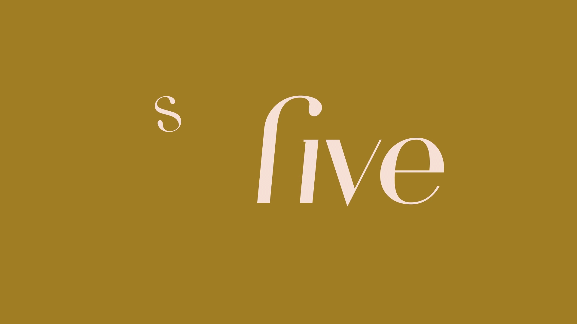 SFive_Animation.gif