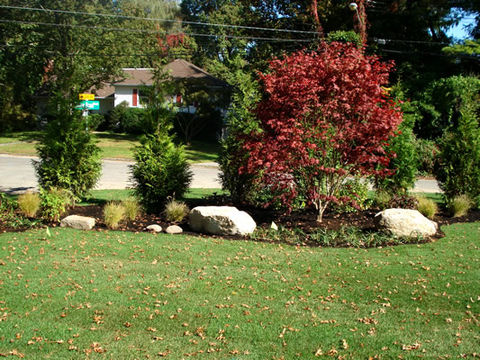 Lawn with Plantings