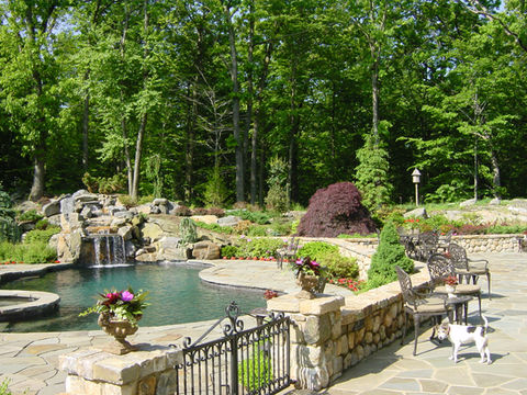 Filly landscaped pool area