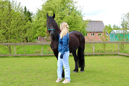 Begeleiding