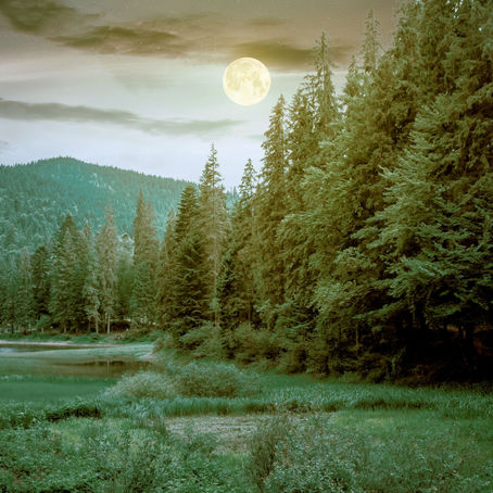The Beauty of Creation