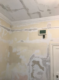 IMG_1055.jpeg
