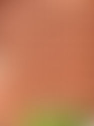 Leading Provider of Premium Roofing, Flooring & Cladding Solutions in Bangalore