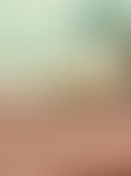 Trusted Manufacturer of Terracotta and Roofing Tiles in Bangalore