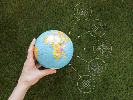 Transição ecológica: o desafio do século