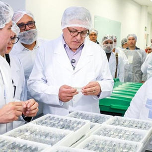 Após 20 anos, Brasil retoma fabricação nacional de insulina com investimento de R$ 142 milhões