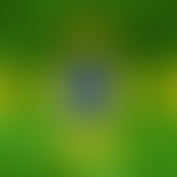 É preciso coerência com o discurso de soberania já!