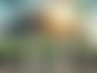 Uma contribuição para a consulta pública da Estratégia Nacional de Ciência, Tecnologia e Inovação, ENCTI 2024 – 2034