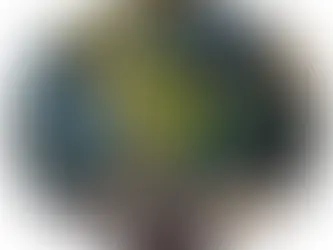 Aporofobia – A Doença Mental da Riqueza