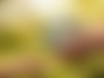 O ser humano e o meio ambiente: o protagonismo humano e a responsabilidade conjunta nas mudanças climáticas