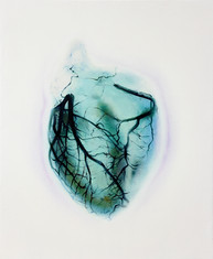 Myocarde#10