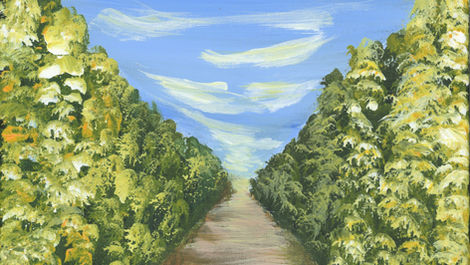 Landscapes
