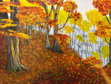 Fall Forest